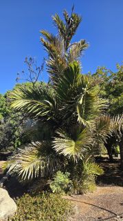 GC-Parque Botanico de Maspalomas 2025-029.jpg